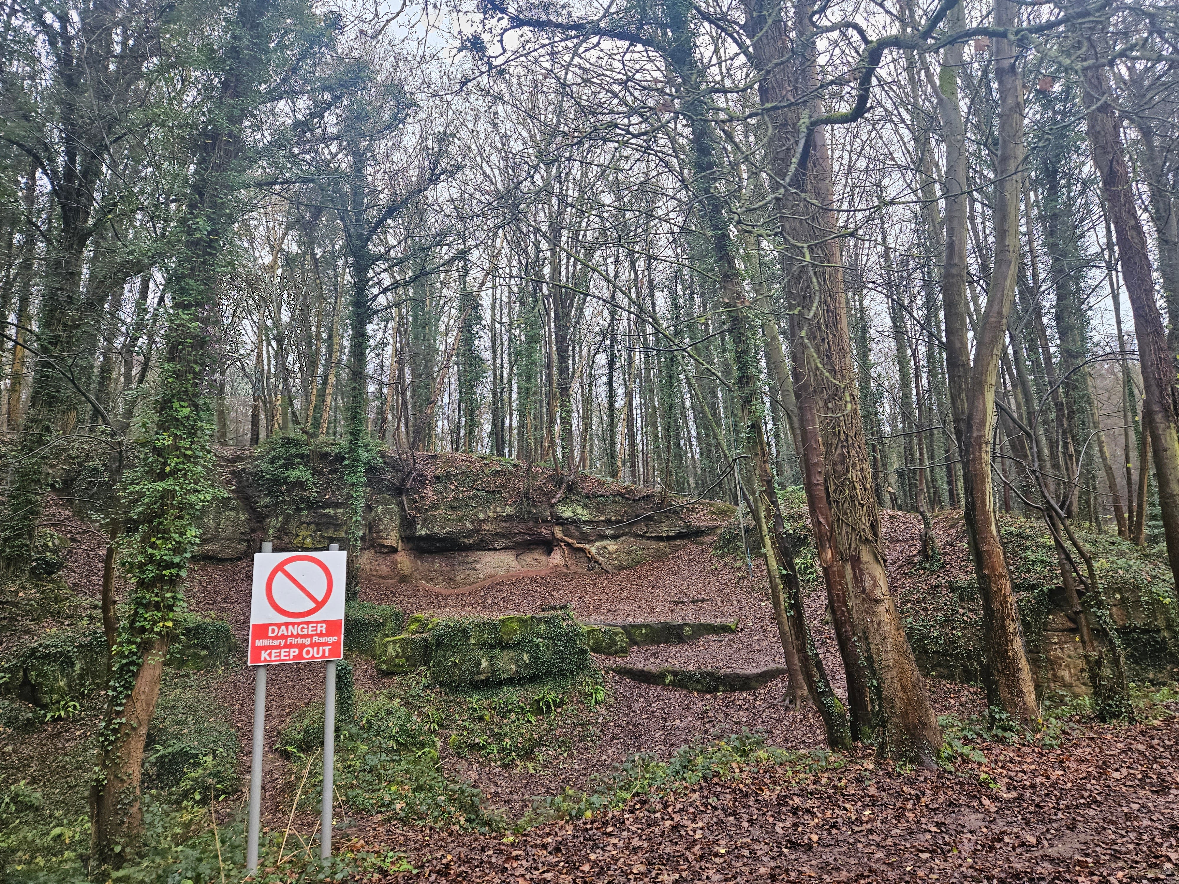 A mixed broadleaf and pine woodland with a small cliff face in the middle of the image. There is a sign in the foreground warning that this is a military site