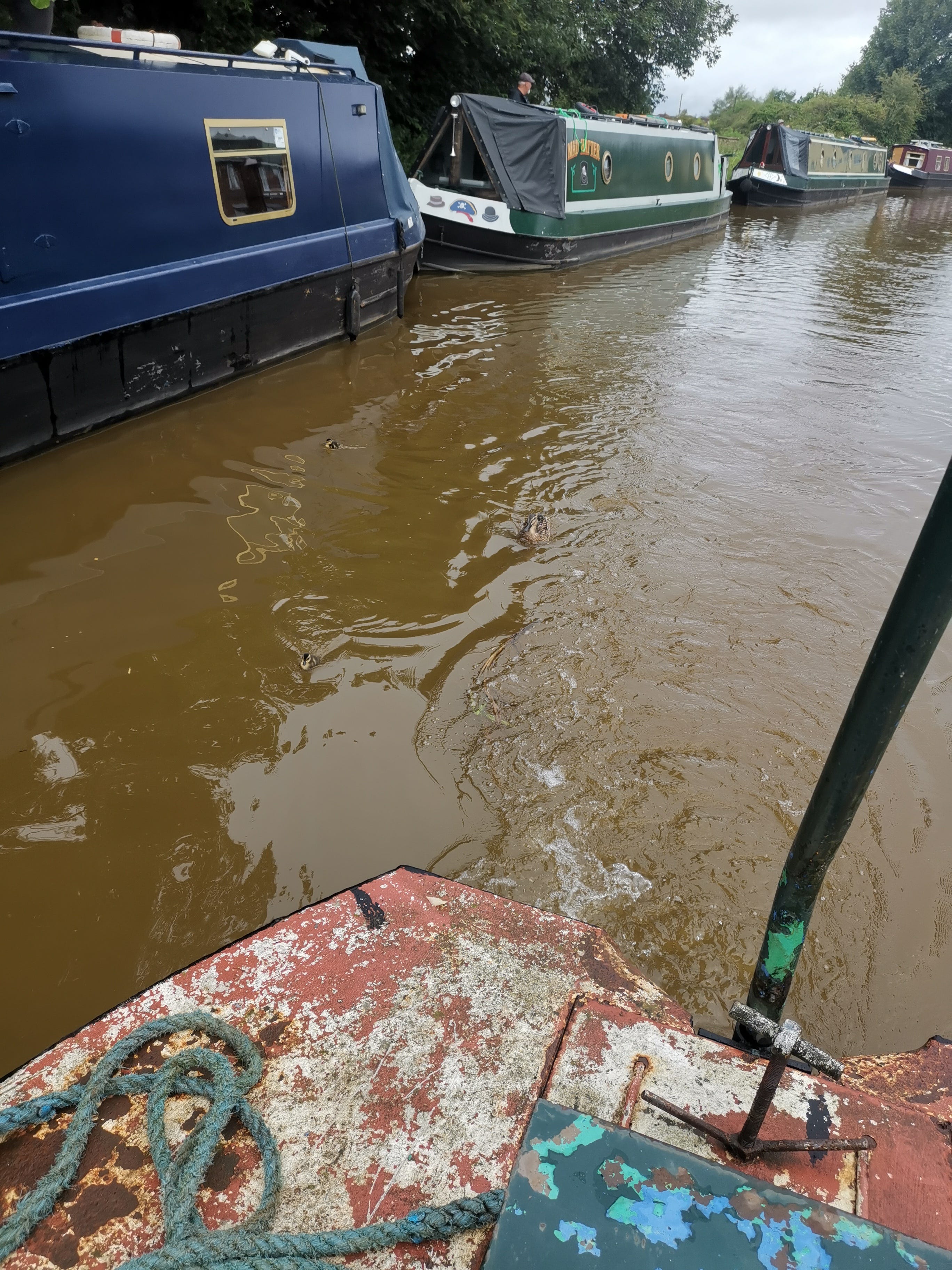 The view off the back of a boat showing the wake from the propeller, a lot of agitated water